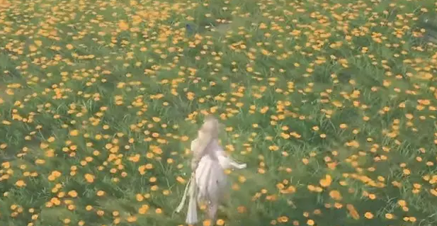 ůůôȡҡ