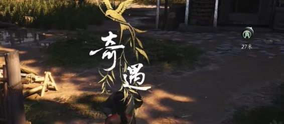 ʮô
