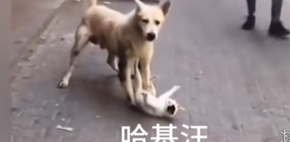xʲô
