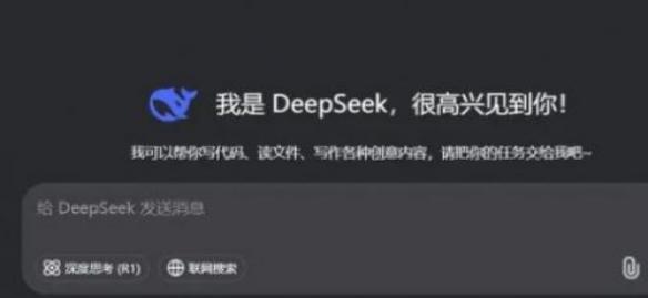 deepseek¼쳣