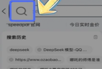 qqdeepseek̳
